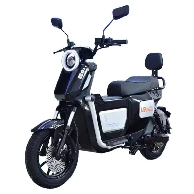 USA EU Warehouse 800W Powerful Ebike Motorcycle 20Ah Large Battery Fast Electric Bicycle