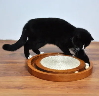 Funny Wooden Cat Pet Scratcher Modern New Interactive Home Decor Toy with Cute Track Ball for Dogs and Cats
