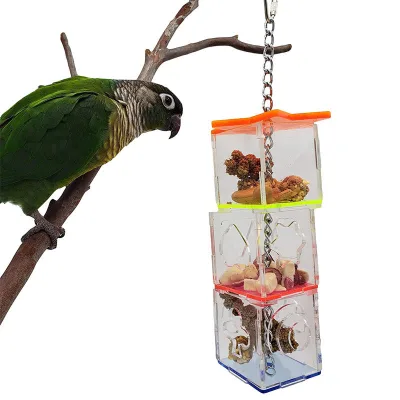 Durable Acrylic Bird Foraging Feeder Cross-Border Application Pet Bowls & Feeders for Parrots and Pigeons