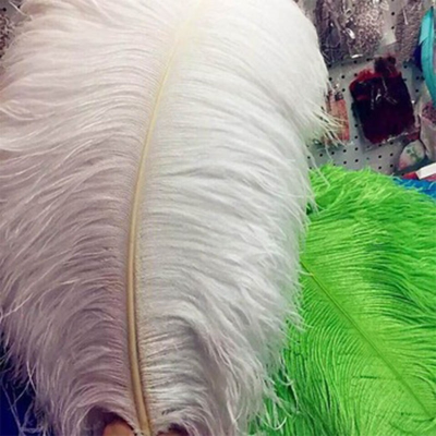 Wholesale Multi Colors Available Ostrich Feather 80cm Large White Feathers for Decoration