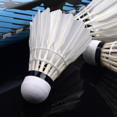 12 Pack Training Badminton Flight Family Entertainment Badminton Adult Training Badminton