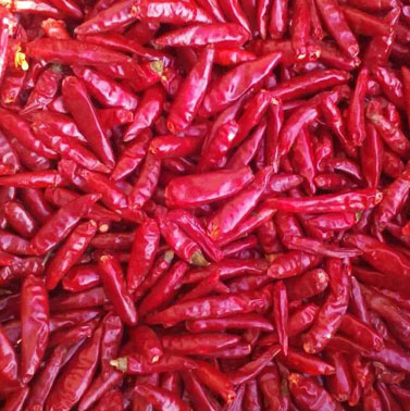 Chinese Hot Chilli Chaotian Chilli Red Dry Chili