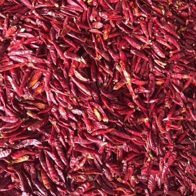 100% PURE NATURE CHAOTIAN CHILI