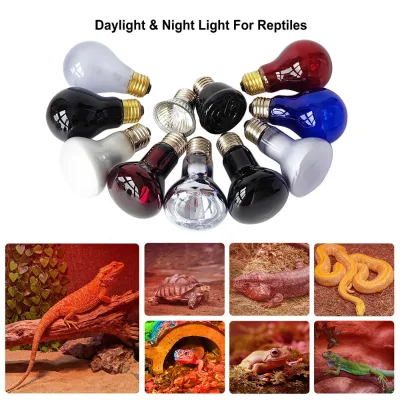 Reptiles Growing Solar Basking Infrared Heating Lamps Incandescent Heat Daylight Night Light Bulbs for Gecko/Lizard/Snake/Turtle