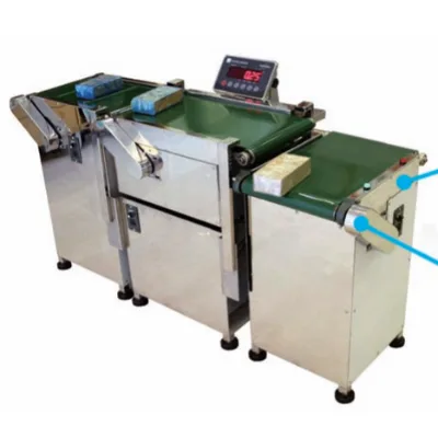 ACW Series Check Weigher Horizontal Belt Conveyor Scale Automatic Machine Package Weighing Sorting Scale