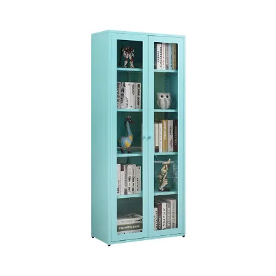 China's Modern Steel Metal Swing Glass Door File Storage Cabinet Knock-Down Adjustable Shelves for Home Hospital Use Living Room