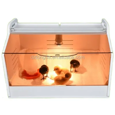 Plastic Portable Brooder for Parrots Made in China Brooder for Chicks Factory