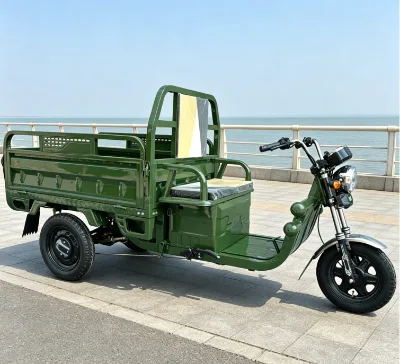 EEC Certified Electric Cargo Tricycle 2000W Motor 800kg Load Capacity, Upgradable with Front Windscreen or Solar Panel