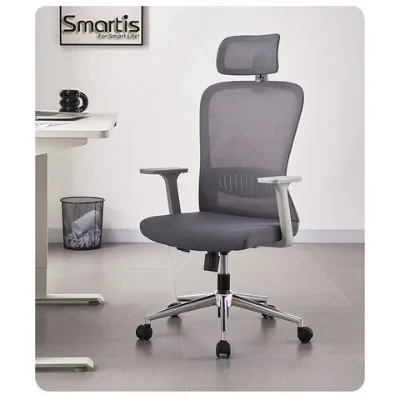 Ergonomic Office Chair - High Back Desk Chair with Adjustable Lumbar Support, Headrest Mesh Computer Chair