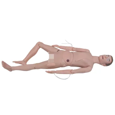 2000 Medical Science Adult Basic Nursing Manikin