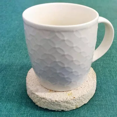 Sustainable Gift Eco-Friendly Product Mycelium Coasters