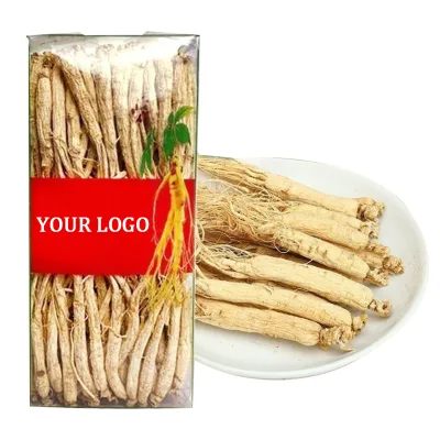 Ginseng Root Dry Ginseng Fresh Ginseng for Good Price