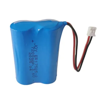 2ER17505 3.6V 7200mAh 2P Non-Rechargeable Lithium Battery ER17505M ER17505 for Gas Circuit Breaker