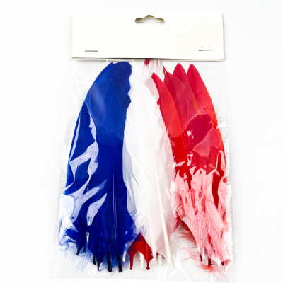Packaged Feathers for Celebrating the Independence Day of the United States