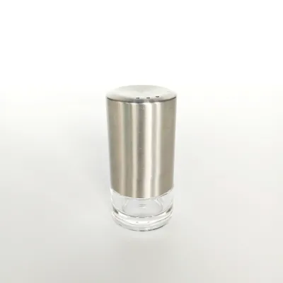 Premium Stainless Steel Salt and Pepper Shaker Mini Hand Portable Spice Shakers with Transparent Bottle