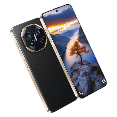 MT 250 Engine Mobile Phone with LED Display French and German Operating Languages