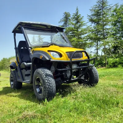 Best SXS Electric Utility Vehicle EV Side-by-Side with Automatic Transmission EEC Certified