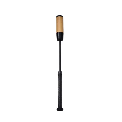Baseball Practice Bat
