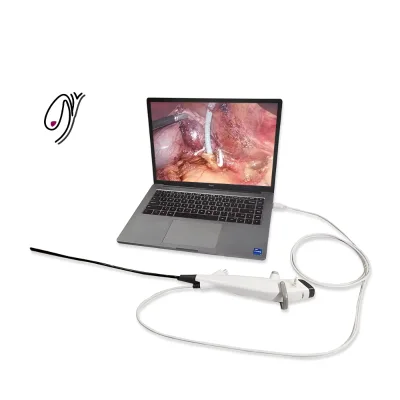 Endoso EPCH-24 Factory Price 2.4 mm Shark Head Like Arc Tip Single Use Flexible Choledochoscope for Hepatobiliary Surgery