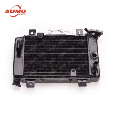 Cheap 200cc ATV Radiator for Engine Cooling System Parts Water Pump