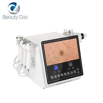 Hospital Grade Multifunction Hydro Facial Machine For Deep Pore Cleaning Cold Plasma Treatment Fibroblast Machine Acne