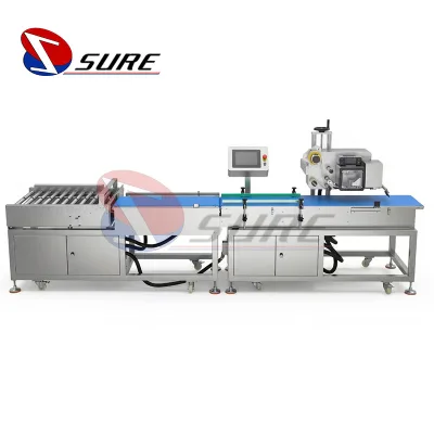 Automatic Weighing Instant Printing and Labeling Machine with Touchscreen for Food Processing and Logistics