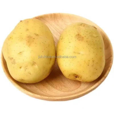 Top Selling Fresh Vegetables Customized Wholesale Requirements for Potatoes Cheap Price Available