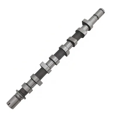 Engine Parts Auto Car Parts Engine Camshaft OEM 8200089894 8200255678 for RENAULT K9K