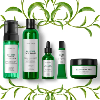 Organic Tea Tree Anti Acne Skin Care Set Private Label Acne Skin Care Set (new)