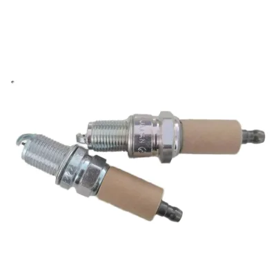 Good Selling Dr14yp Fb78ww / 0006.800.902.00.05 Ignition Coil Spark Plug