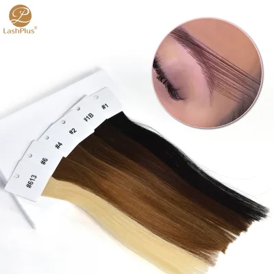 LashPlus Supplier Quality 3G Low Price Fast Shipment Soft Lightweight Private Label Colored European Remy Straight Full Ends