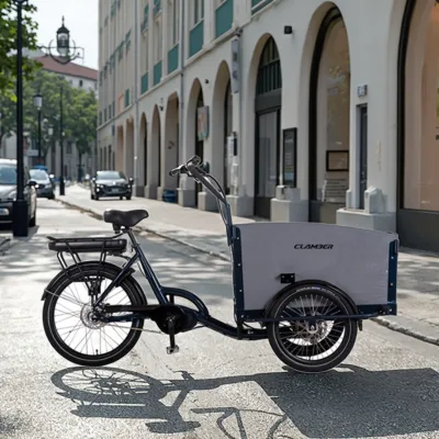 Custom Electric Pet Dog Trailer Stroller 36V 250W Central Motor Aluminum Frame Rear Carrier Lithium Battery Hydraulic Disc Brake