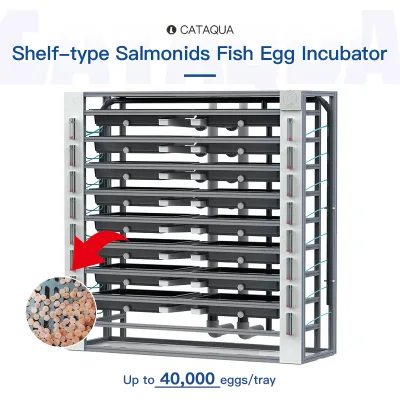 Heavy-Duty Compact Automatic Trout Fish Incubator Shrimp Farming with Direct-Drive Aeration for High-Density Nursery