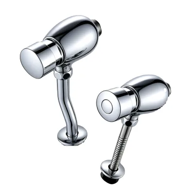 Hot Sale Wholesale Wall Mounted Metal Manual Flush Valve Easy Operation for Toilet Bathroom