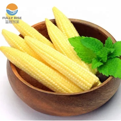 400g Canned Baby Corn in Water