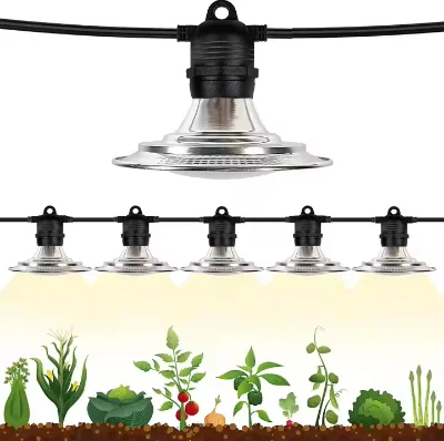 Full Spectrum Growing Light for Dragon Fruits 15W Plant Lamp for Pitaya Planting Bacca Tomato Phyto Lamps Outdoor Waterproof
