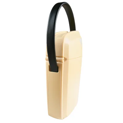 Portable Light Cream Travel Safe with Key Lock Twist-Lock for Mobile Devices and Cash Security
