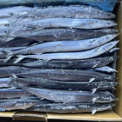 HOT SALE SEAFROZEN PACIFIC SAURY WHOLE ROUND FISH CAN EXPORT to VIETNAM RUSSIA ETC