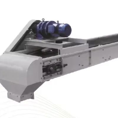 China Dingxin TDSL Series Belt Conveyor Machine Model TDSL40 25-30T/H Capacity Grain Processing Machinery