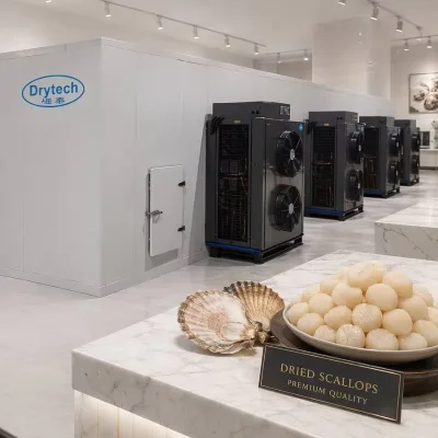 Professional China Manufacturer Silver Carp Drying Machine Snakehead Fish Dryer Dehydrator