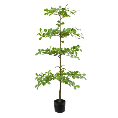 Plastic Artificial Terminalia Mantaly Tree UV Resistant Eco-Friendly Fire Retardant Customizable Height Modern Home Outdoor