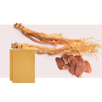 High Quality Red Ginseng Patches Antioxidation Herbal Red Ginseng Skin Plaster