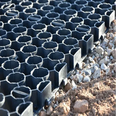 Industrial Design Eco-Friendly Grass Grid for Park Permeable Paving
