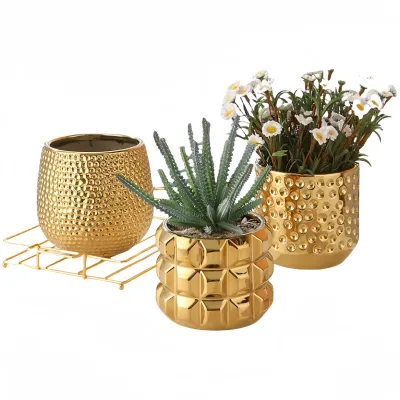 Cheap Small Flower Pot Ceramic Indoor Succulent Gold Plants Pot Line Pot