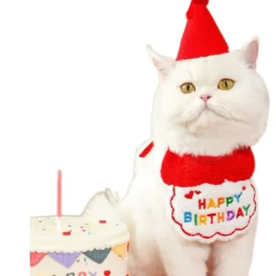 Joysing Pet Birthday Drool Bib Scarf, Dog cat Hat Decoration, Cross-border Supplies Wholesale, Instagram Style