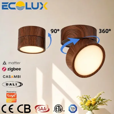 Surface Aluminum Adjustable LED Smart Downlight DALI Triac Dual Dimming High Lumen CE ETL Down Light for Shopping Mall