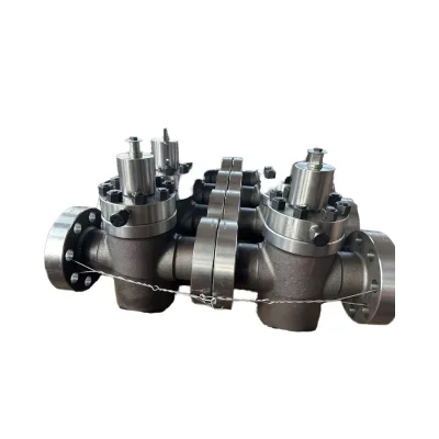 API 6A Forged Iron Parallel Gate Valve for Oilfield Well Drilling Factory Price Mining Machine Parts