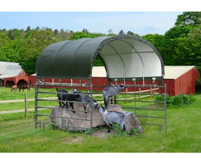 Premium Horse Shelter