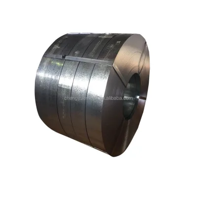 Zinc Coated Galvanized Steel Sheet Strips for Roof Standard Size Stainless Steel Coil Strip