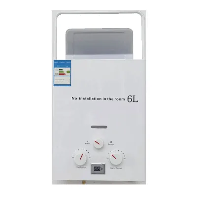 Manufacturer Wholesale Export Flue Gas Water Heater Small Water Heater for Home Rv Tankless Gas Instant Hot Water Heater
